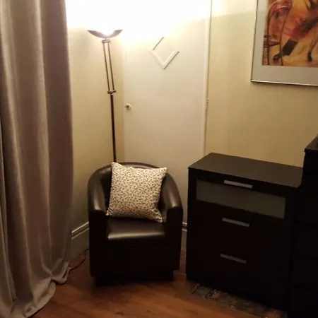 公寓 丹斯乐马丽思公寓 巴黎