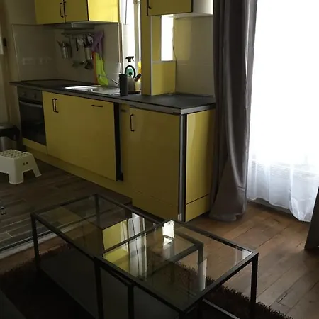 丹斯乐马丽思公寓 巴黎